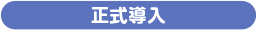 正式導入
